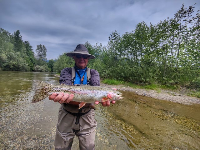 niuce Rainbow trout.